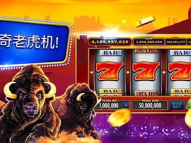Winna Casino user profile